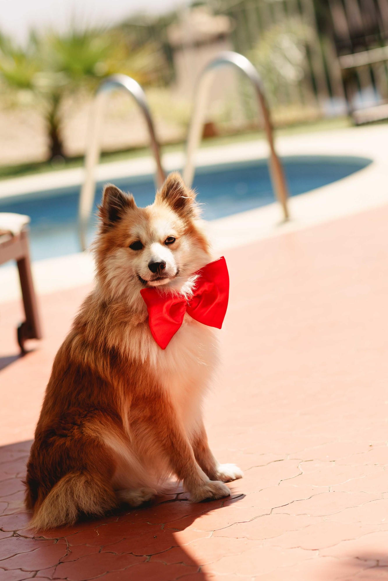 Boda en Benalmádena 03