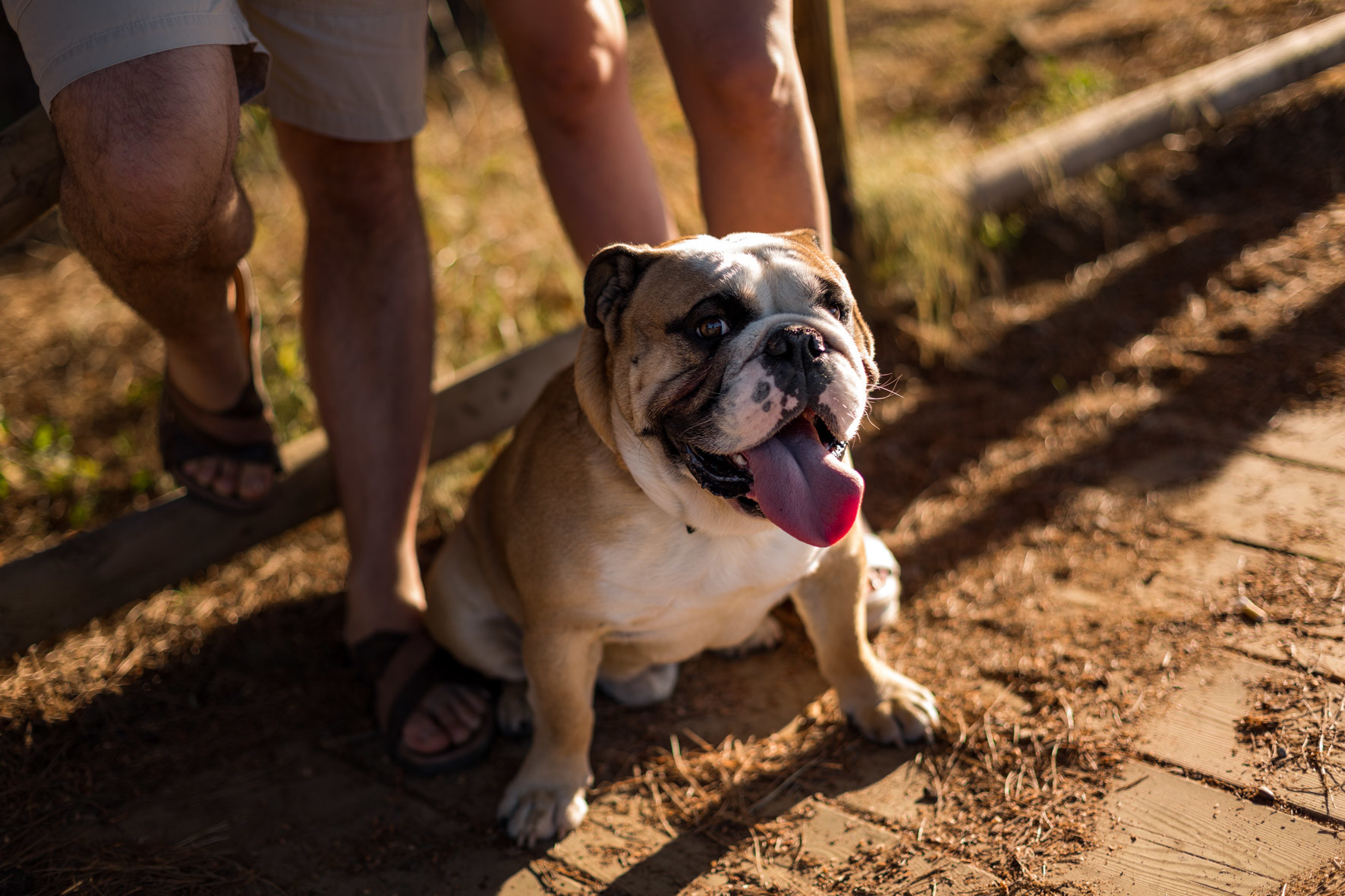 PREBODA PABLO Y CARMEN6