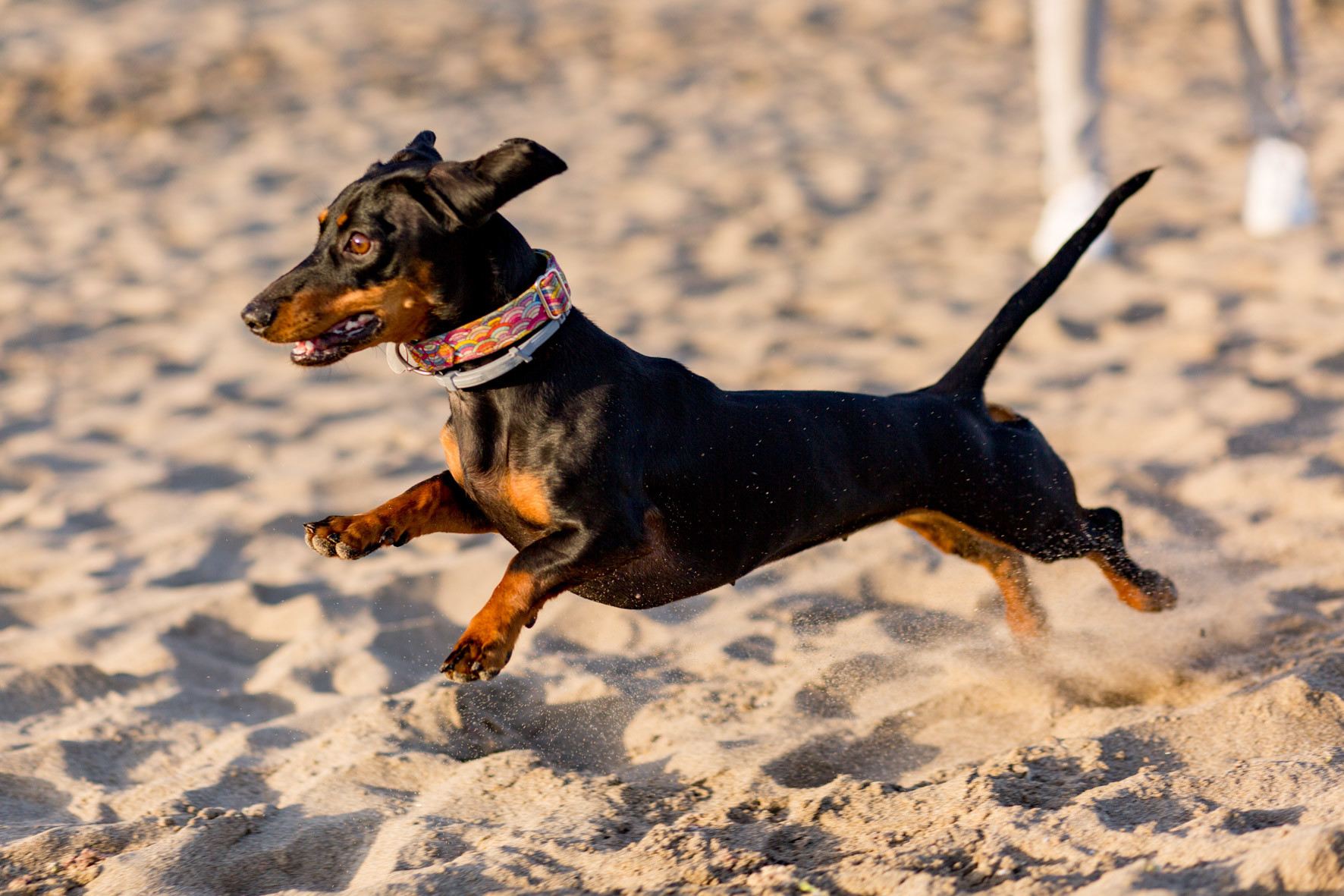 Preboda Miriam & Javi 10